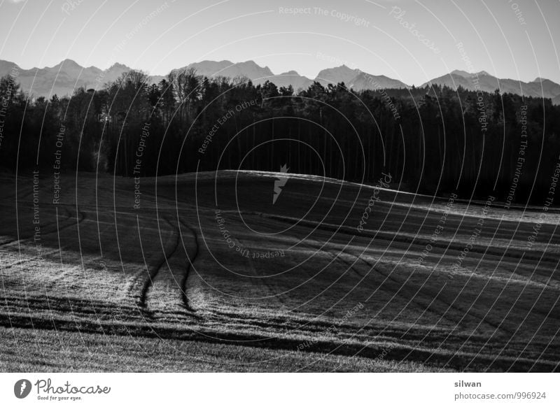 Licht- & Traktor- Spuren Landschaft Himmel Sonnenlicht Herbst Winter Schönes Wetter Feld Berge u. Gebirge bedrohlich gruselig schön kalt trocken grau schwarz