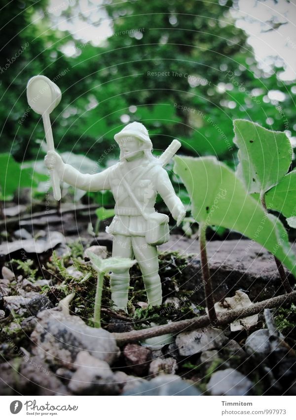 Most of the time... Umwelt Natur Pflanze Efeu Spielfigur Stein Kunststoff beobachten einfach grau grün Gefühle Willensstärke Angst Abenteuer Mut Abenteurer