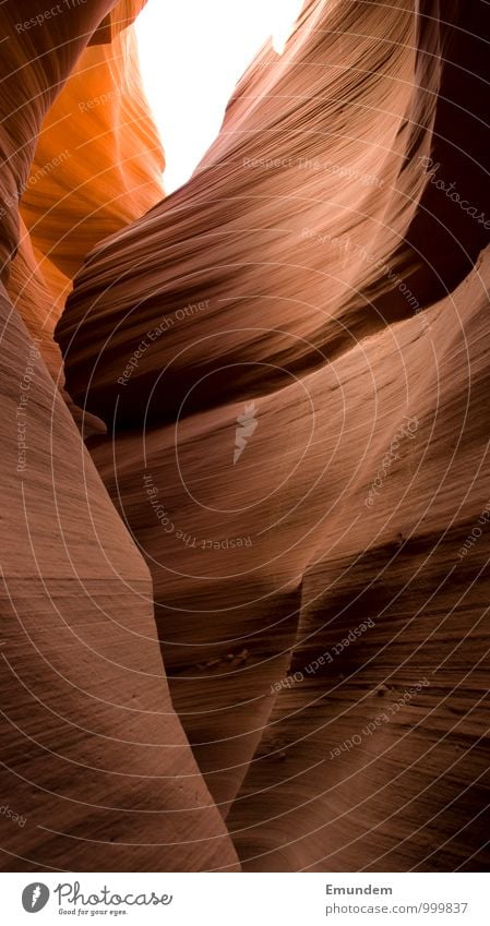 Antelope Canyon II Umwelt Natur Schlucht Wüste ästhetisch exotisch orange rot Westen USA Amerika Arizona Südwest rund organisch fließen weich wallen wallend